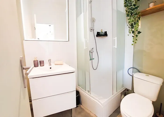 Apartment L'ecrin Du Chateau Sejour A 2, Etudes, Professionnels A Calme Face Au Chateau Linge Et Wifi Inclus Caen